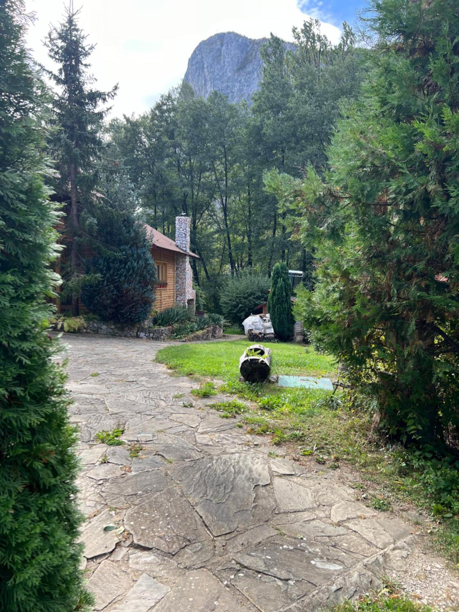 Studiouri Valisoara Εξωτερικό φωτογραφία