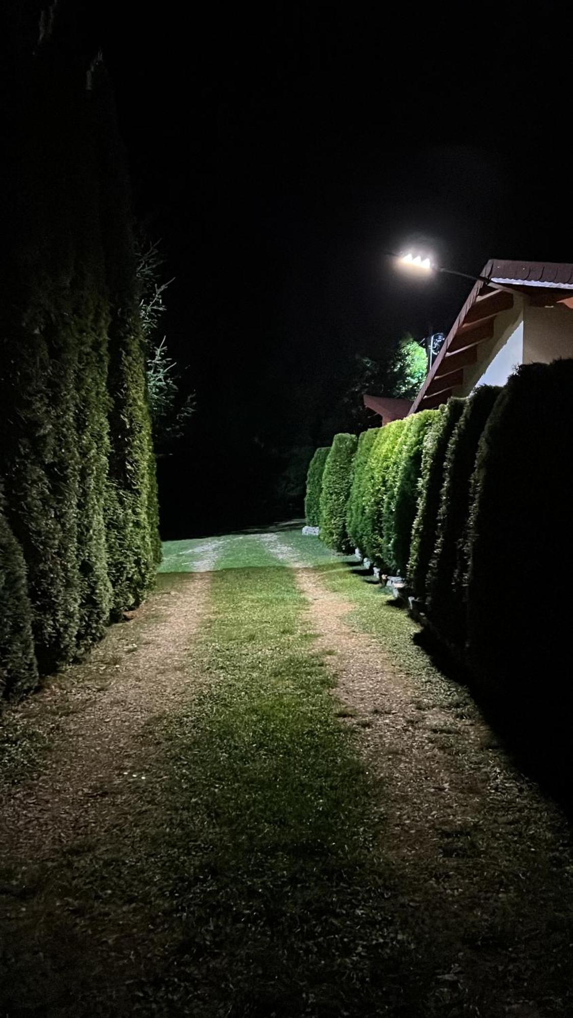 Studiouri Valisoara Εξωτερικό φωτογραφία