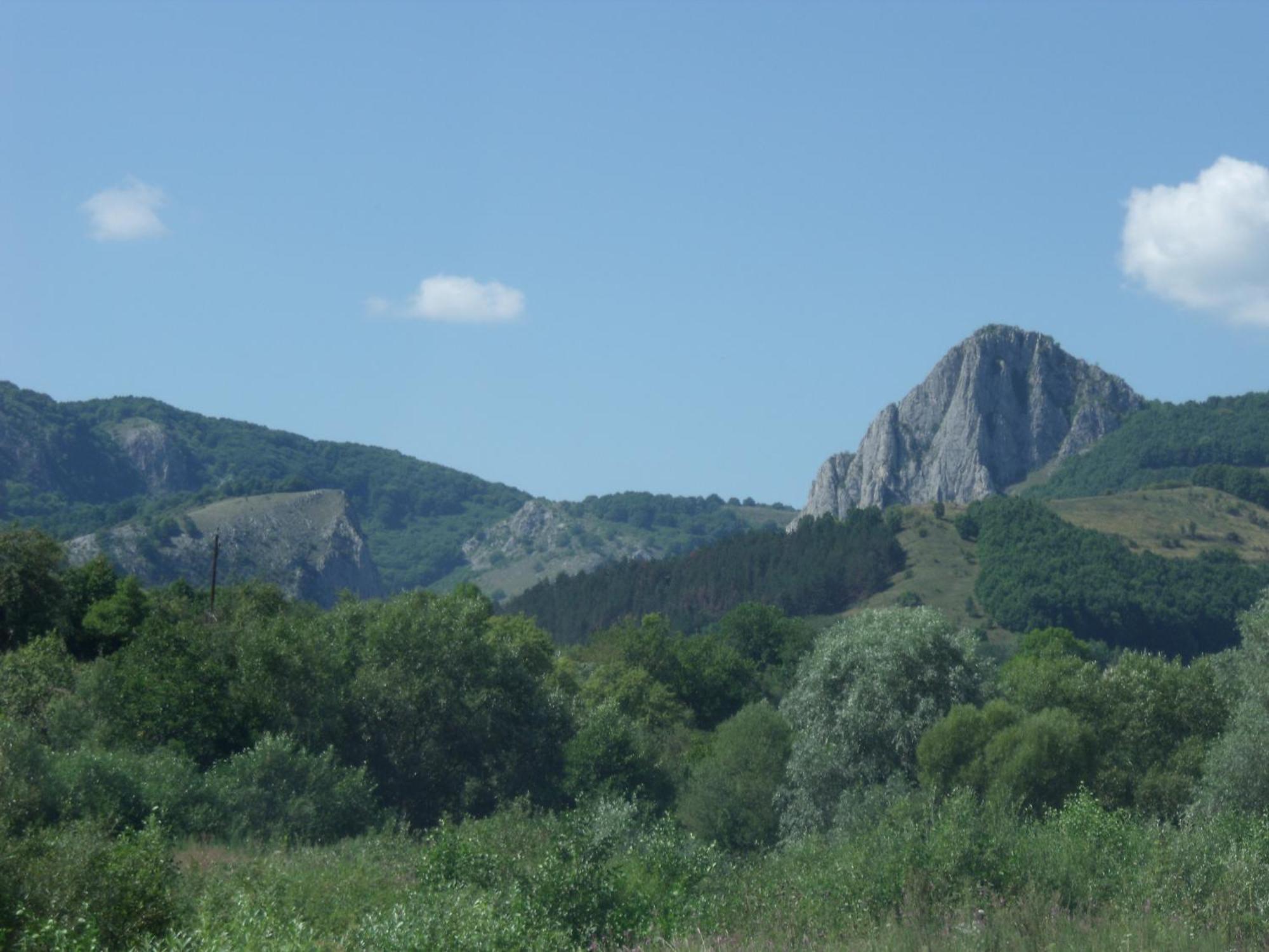 Studiouri Valisoara Εξωτερικό φωτογραφία