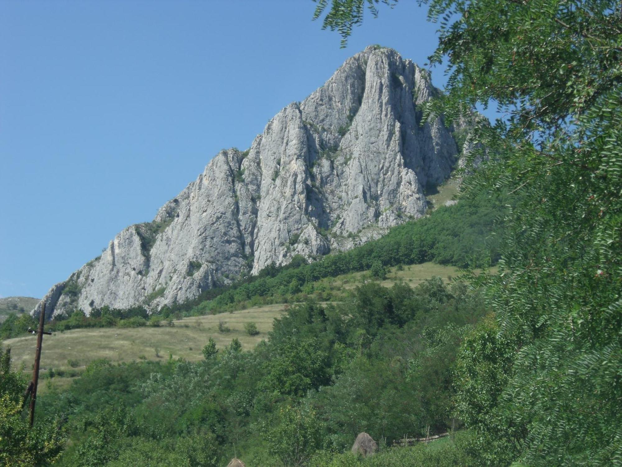 Studiouri Valisoara Εξωτερικό φωτογραφία