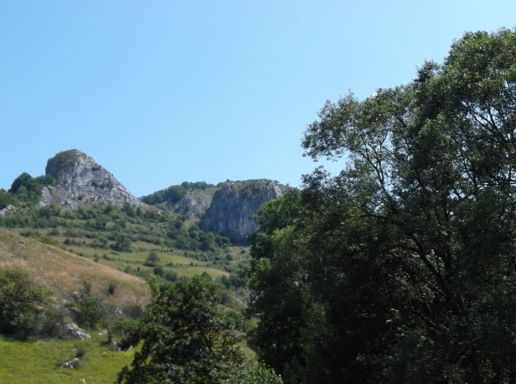 Studiouri Valisoara Δωμάτιο φωτογραφία