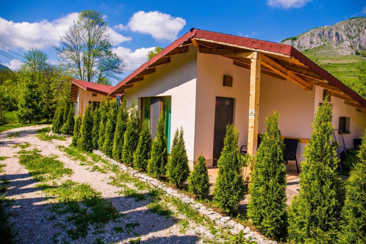 Studiouri Valisoara Εξωτερικό φωτογραφία