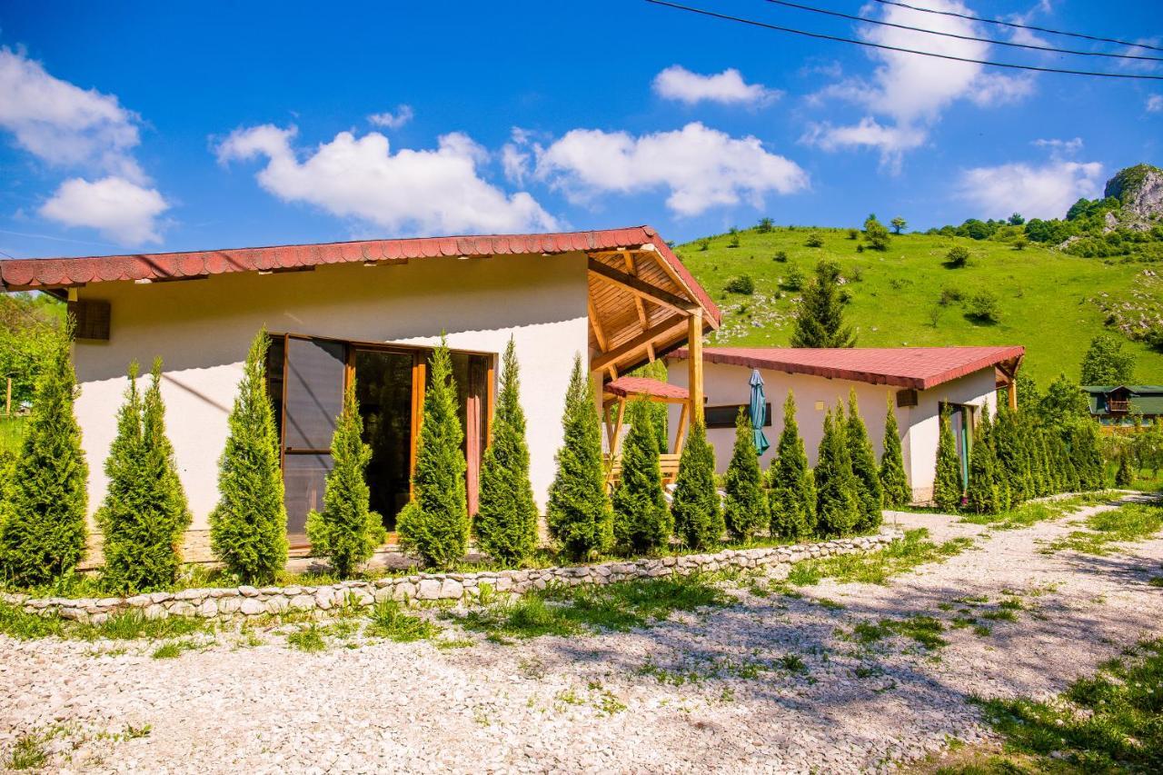 Studiouri Valisoara Εξωτερικό φωτογραφία
